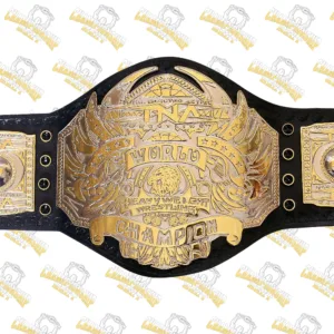 TNA World Heavyweight