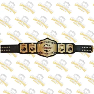 TNA World Tag Team