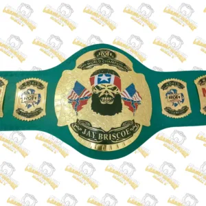 Jay Briscoe Man Up World ROH Championship Wrestling Title Belt