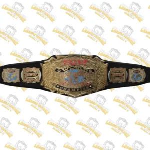 12-ECW World Championship Title Belt
