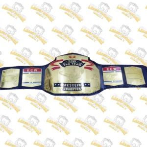 14-ECW WORLD TAG TEAM WRESTLING