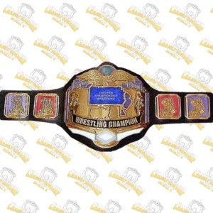 17-ECW Wrestling Championship Title Belt