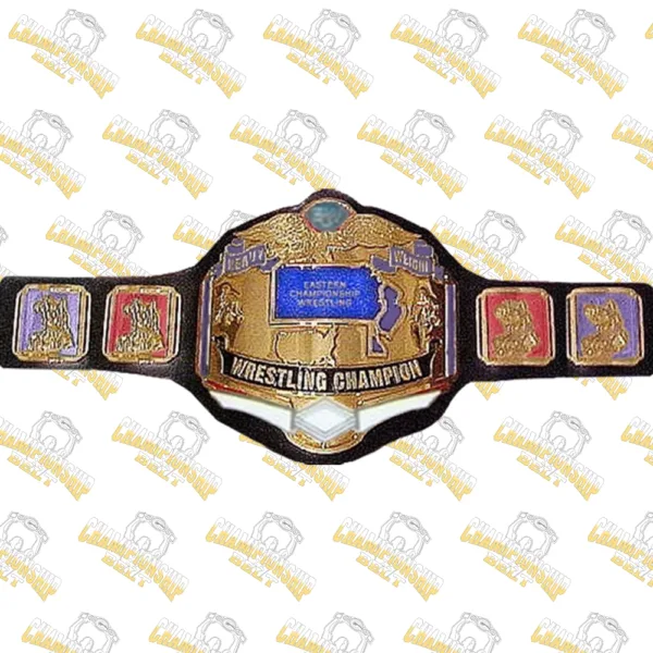 17-ECW Wrestling Championship Title Belt