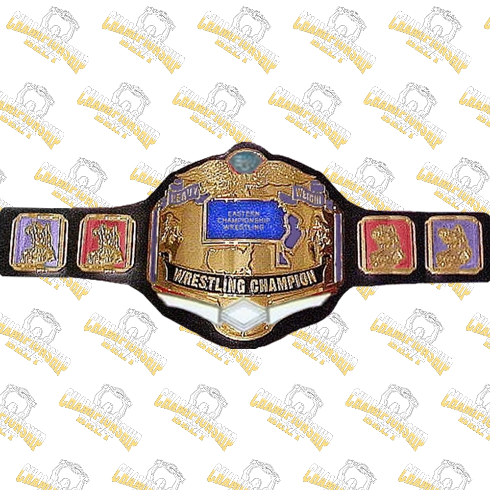 17-ECW Wrestling Championship Title Belt