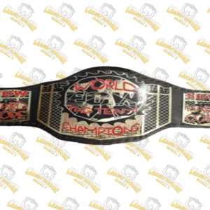 ECW Tag Team Championship Wrestling
