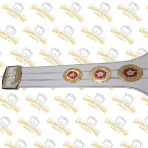 WBC World Boxing Championship Wrestling Title Belt With White Strap