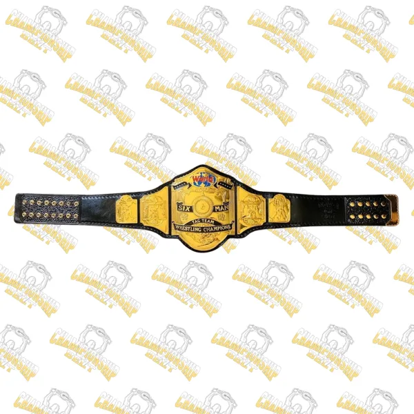 World Six Man Tag Team ROH Championship Wrestling Title Belt