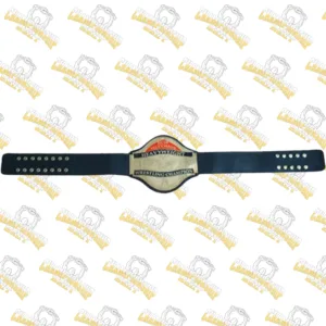 16-ECW World Television Championship Adult Belt