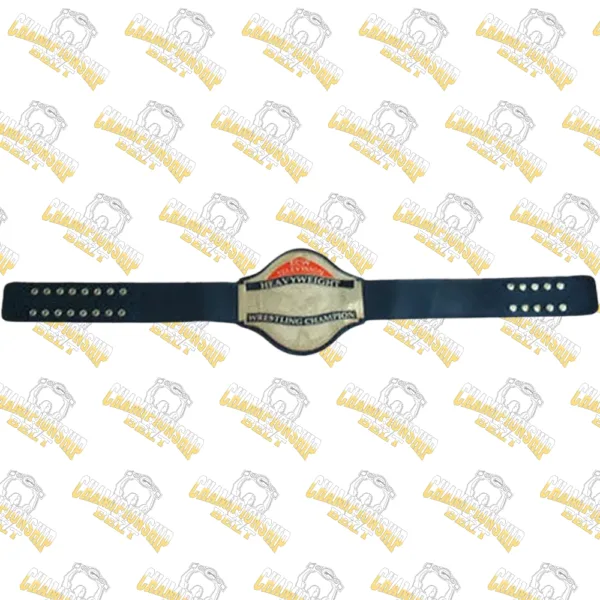 16-ECW World Television Championship Adult Belt