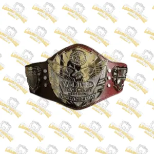 ROH Custom World Championship Belt