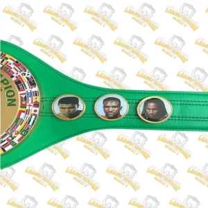 WBC World Boxing Champion Wrestling Title Belt Green