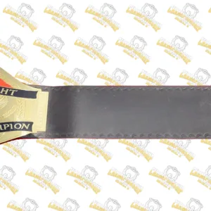 16-ECW World Television Championship Adult Belt