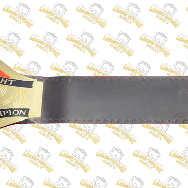 16-ECW World Television Championship Adult Belt