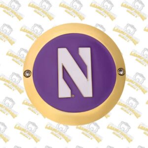 Copy of Vegas Golden Knights WWE Legacy Title Belt 46