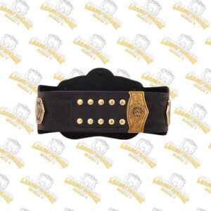 Copy of Vegas Golden Knights WWE Legacy Title Belt 5