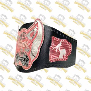 Copy of Vegas Golden Knights WWE Legacy Title Belt 5