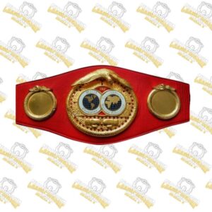 Copy of Vegas Golden Knights WWE Legacy Title Belt 7 3
