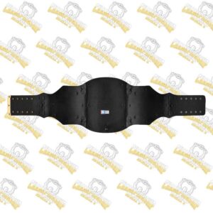 Copy of Vegas Golden Knights WWE Legacy Title Belt 4 3